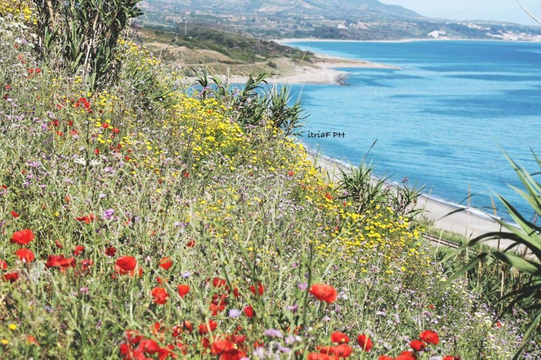 Climatizzato In Centro A 100M Dal Mare Villa Ciro Marina Luaran gambar